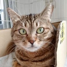 里親近況報告