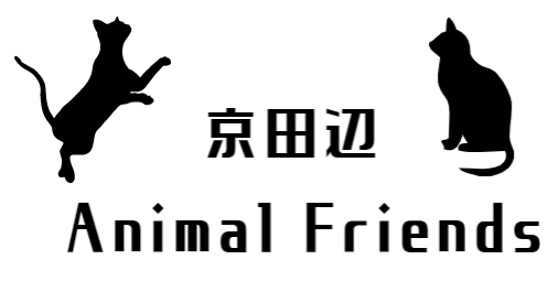 ★ようこそ★